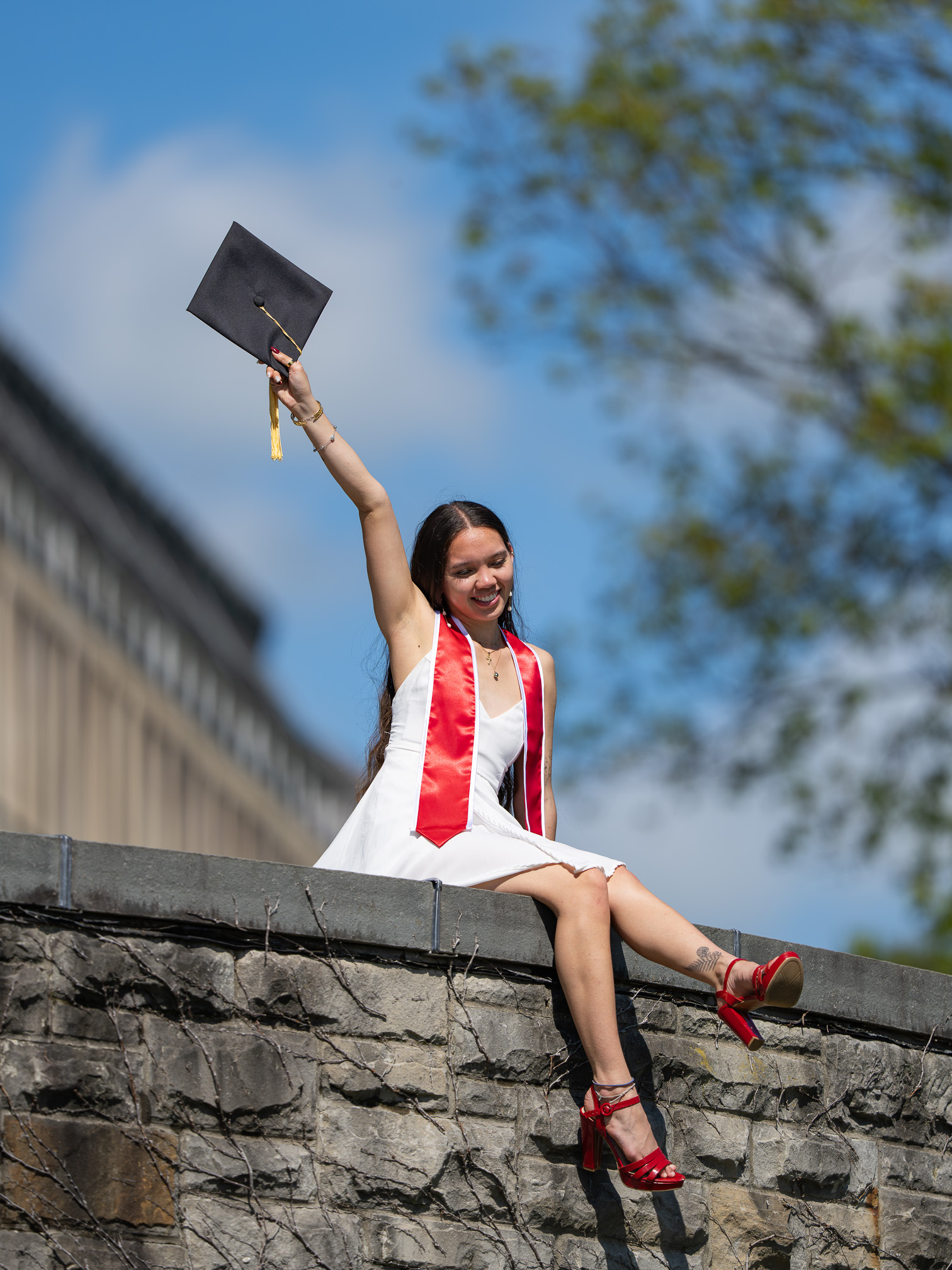 Cornell Graduation 2026